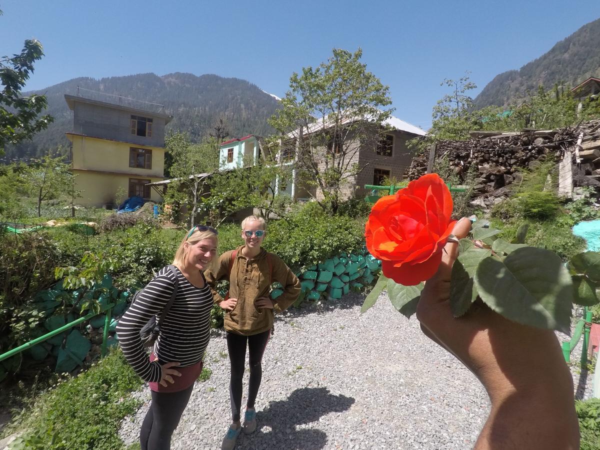 One Light Hostel Manali (Himachal Pradesh) Exterior photo